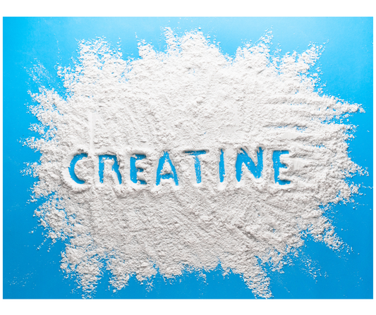 Harnessing the Power of Creatine: Elevate Your Fitness Game